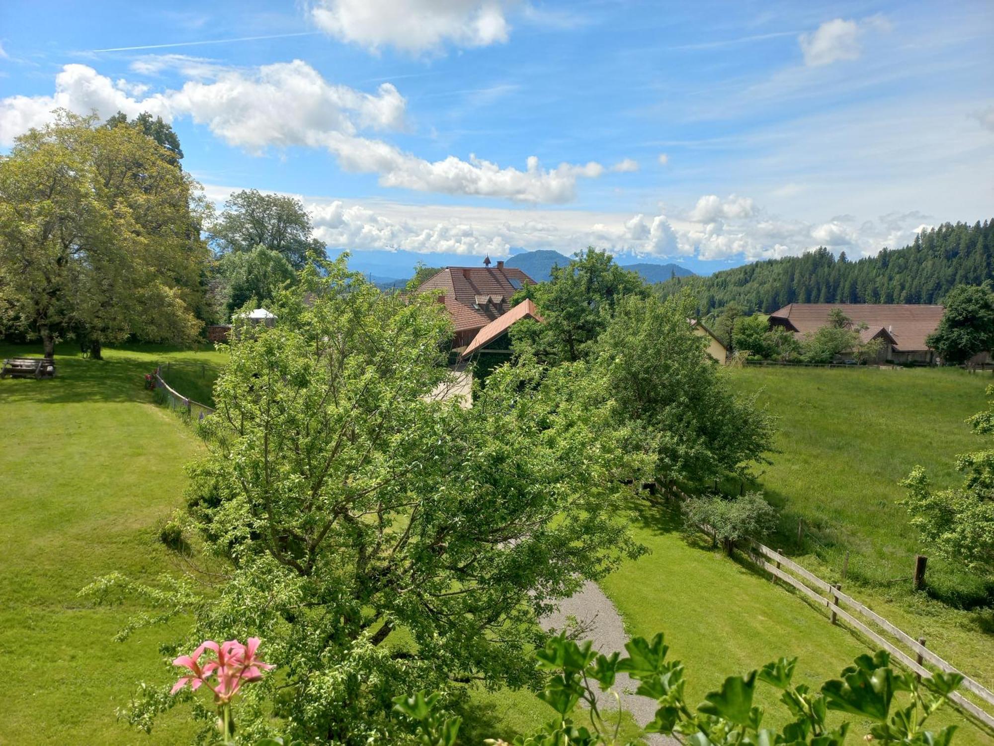 Steurer Hof Apartment Liebenfels Luaran gambar