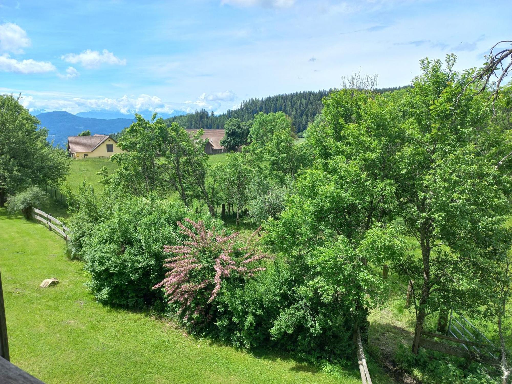 Steurer Hof Apartment Liebenfels Luaran gambar