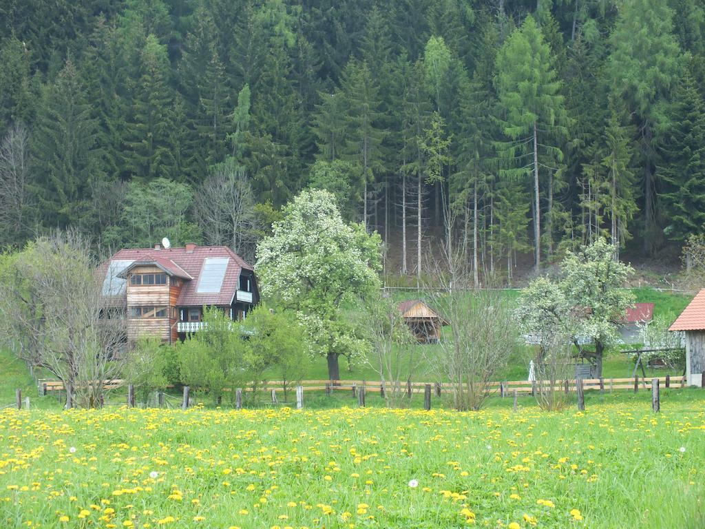 Steurer Hof Apartment Liebenfels Luaran gambar